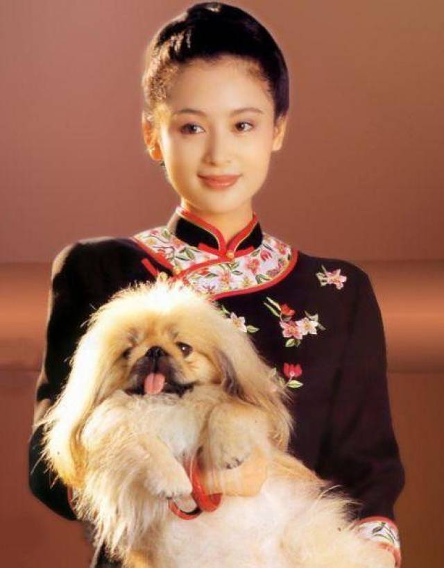 陈红原野电视剧分集介绍_香港电视剧原野陈红_电视剧原野中的陈红剧照