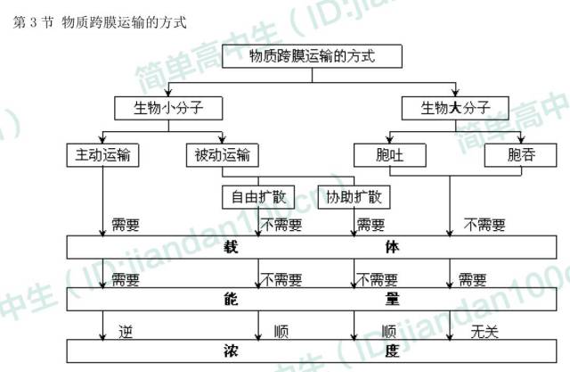 一,本章核心概念 主要:被動運輸,主動運輸,自由擴散,協助擴散,胞吞