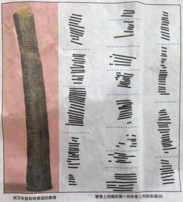 虽然人们不清楚这些刻痕的意义,但这些"数字"有自己的规律