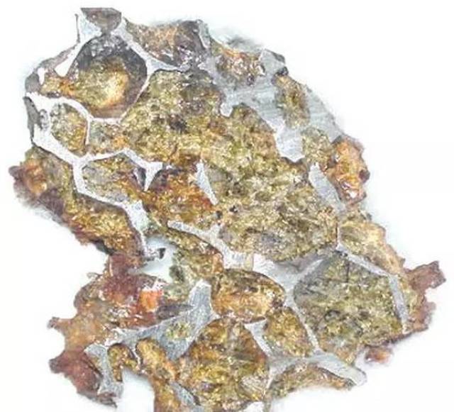 橄榄陨石断面图图片