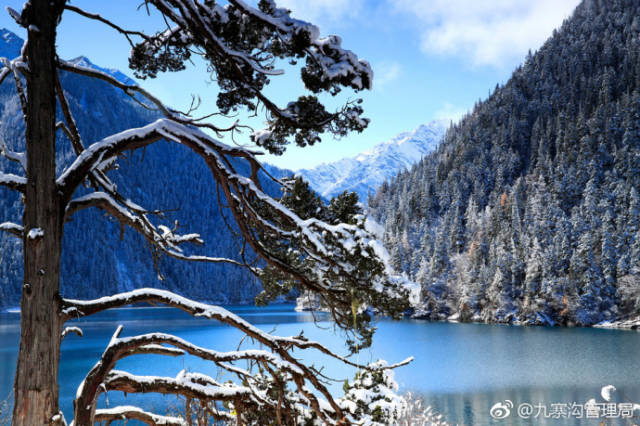 九寨溝下雪了