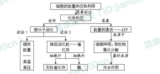 高中生物必修一概念圖彙總,敢說你不需要嗎?