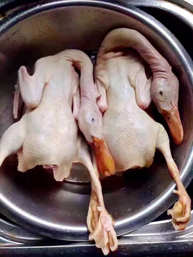 今天奉上平阳人都爱的老鸭煲!让你唇唇欲动!秘方竟然来自一张