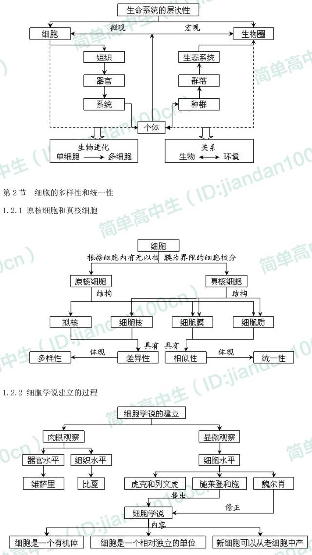 系統及層次,真核細胞,原核細胞,病毒,細胞學說 次要概念:原核生物,真