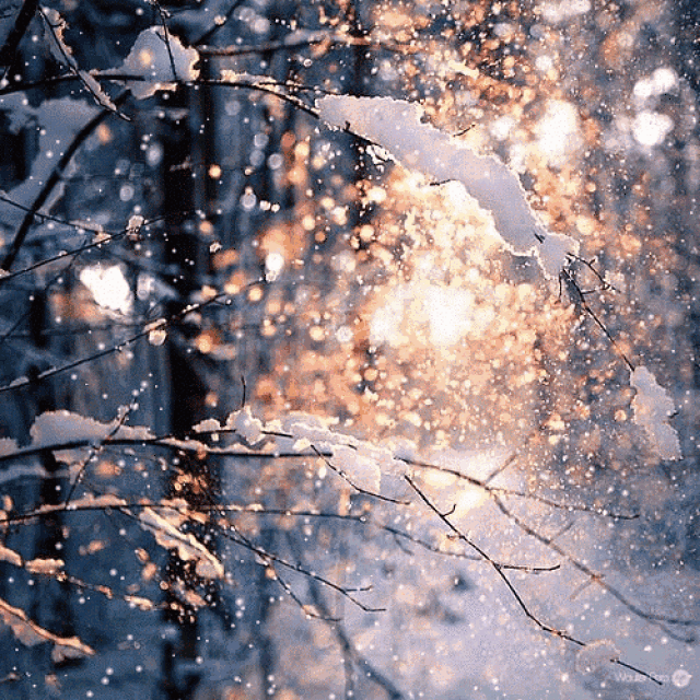 漫天飞雪的唯美图片图片
