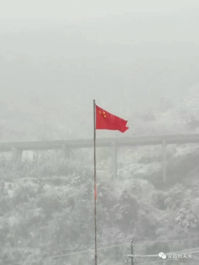 宜昌2018年的第一场大雪,竟是这个样子的.