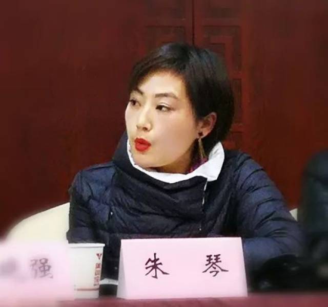 女朱琴图片