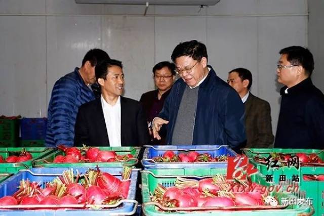 县委副书记,县长秦山成,县委副书记易先平陪同