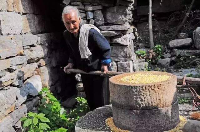 农村人推磨图片,农村石碾子图片,推磨图片_文秘苑图库