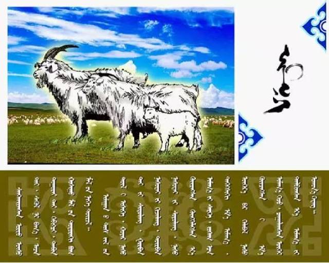 【文化】您应该知道的知识,蒙古族五畜名称(蒙古文)_手机搜狐网
