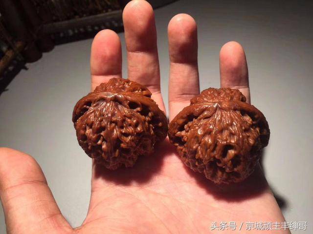 文玩核桃历史之白狮子头核桃_搜狐网