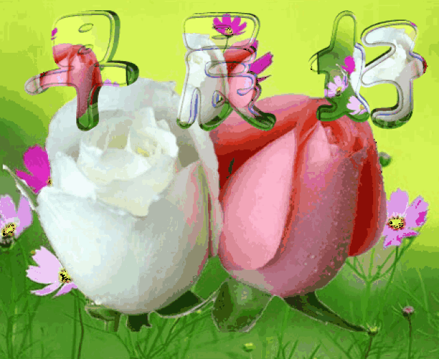 ô־ͿĶ̬ͼƬ