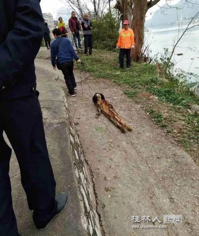 桂林河面惊现裸尸?民警打捞上来一看,天呐!_手机搜狐网