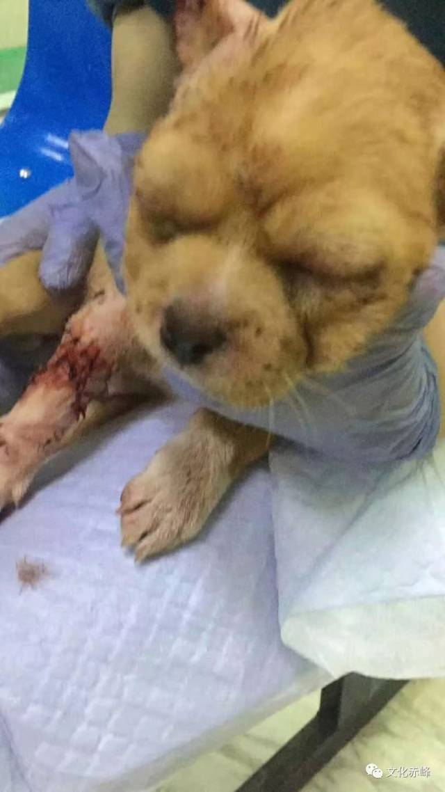 严重谴责这种暴力行为!