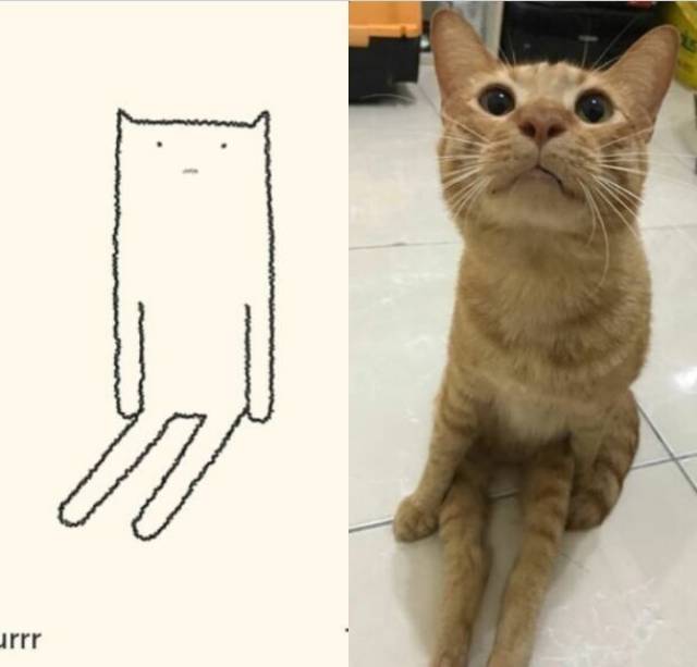 灵魂画师笔下的猫咪们!你画的比他好!