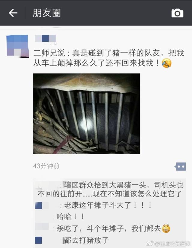 霍邱警方:烦请二师兄的"师傅"看到消息后,主动联系我们寻猪,取经的路