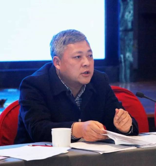 金寨县县委副书记,县长汪冬一年一度的市"两会",不仅是代表委员们参政