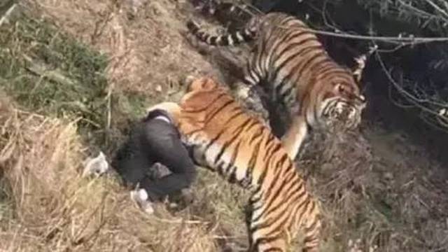 2018失业潮恐来袭,身负房贷、车贷的你,该何去