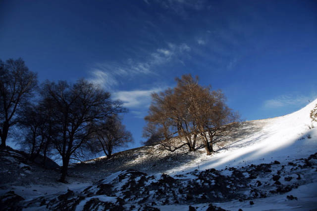 一場大雪過後,那拉提草原就美成了冰雪童話世界,此般美景,怎可辜負!