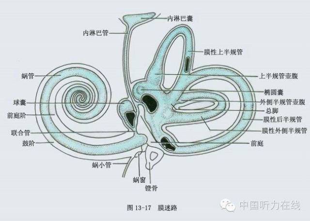 前庭導水管擴大可怕嗎?_手機搜狐網