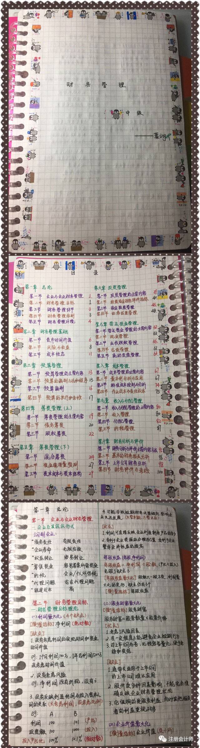 这位女学霸的cpa笔记美极了