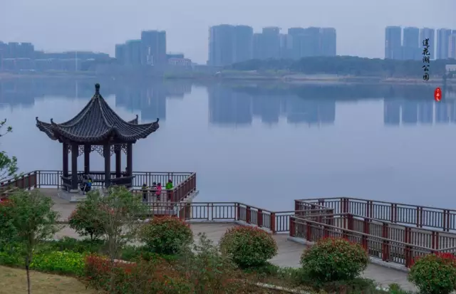 【美圖共賞】陽新蓮花湖公園-獨自閒行獨自吟