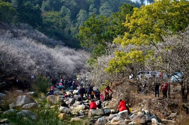 该山庄是普宁市德龙生态农业发展有限公司名下一家集饮食,休闲娱乐