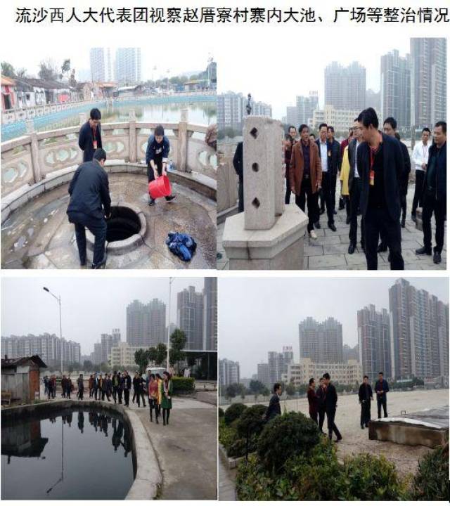 市"五城同创"流沙西街道组织党政班子,人大工委,代表团代表以及村