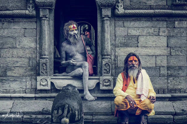 尼泊尔苦行僧:拍照一次20元,会向中国游客说"人民币"