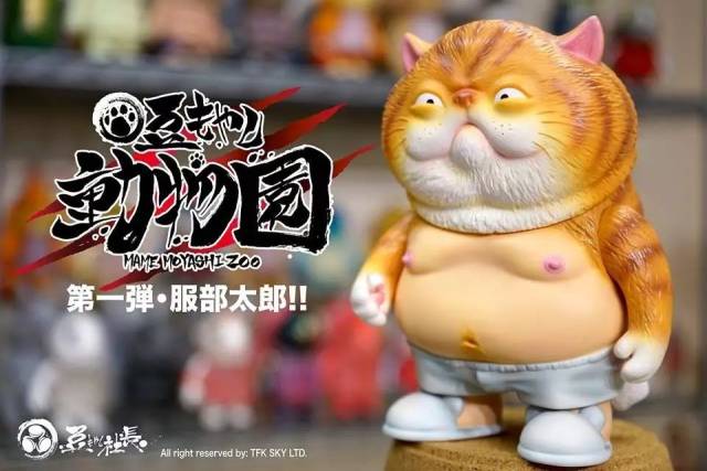 林雪猫本猫？？！_搜狐网