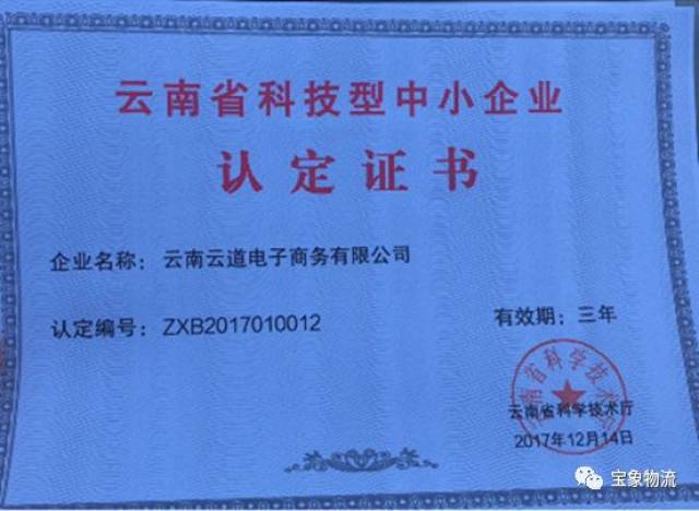 网店托管，电商领域的新宠
