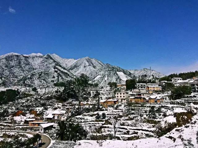 松阳四都雪景图片