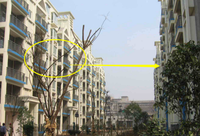 为什么买房万万要留意楼间距?若非售楼小姐说漏嘴,我家差点吃大亏