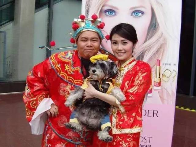 里优雅的 高圆圆 明明可以靠脸吃饭 郭德欣却偏要用声音闯出一片天 在