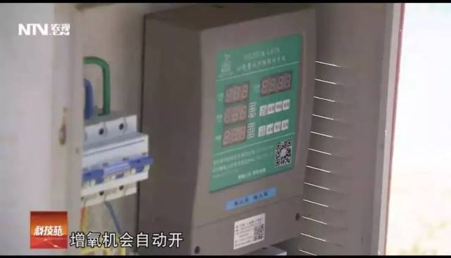 cctv7致富经_cctv7致富_cctv7致富技术