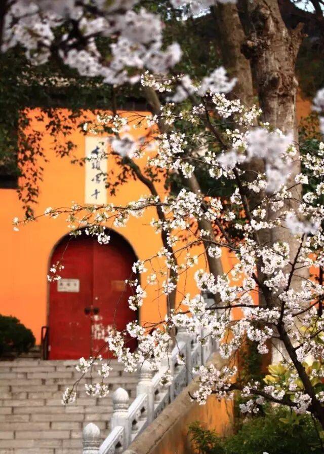 走进国乐的那些事儿 · 金陵丝竹别样声