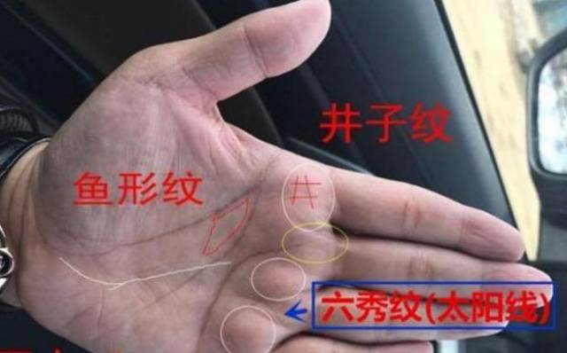 手相中六秀纹又名太阳线,位于无名指下与玉柱纹平行的一条直线.