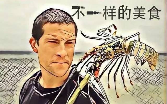 贝爷——一个人创造的ip