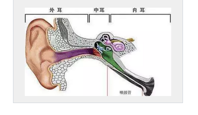 咽鼓管堵塞 自愈图片