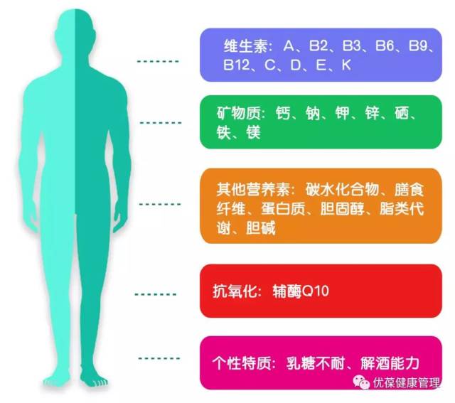 智能时代的健康守护神——健康管理系统开发