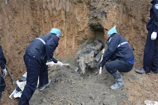 郎木寺天丧葬血腥图片图片