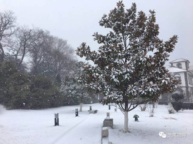 雪後的毓璜頂公園