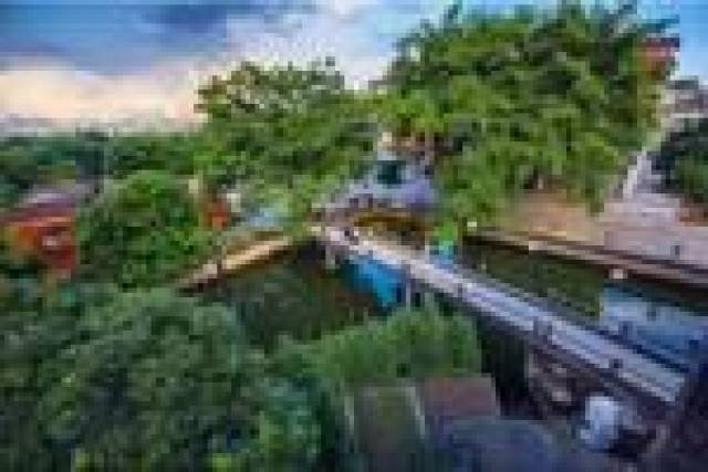 横跨水道的石板桥……在北滘莘村每个角落都散发出岭南水乡独特的气息