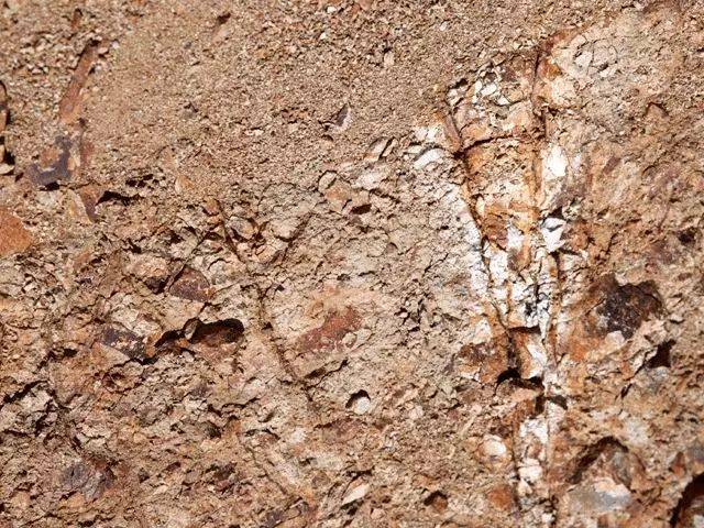 岩浆 蜡染 骨头 编织 抽象贴图素材免费下载