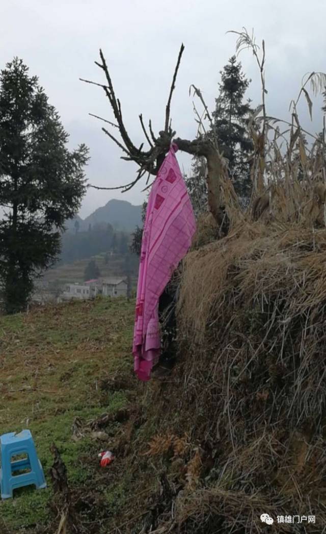 昨天昭通有一男子吊死在树上,现场视频曝光身份成谜!