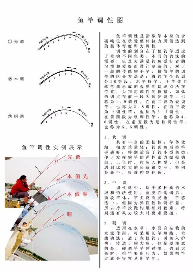 分析鱼竿调性到底哪种更好