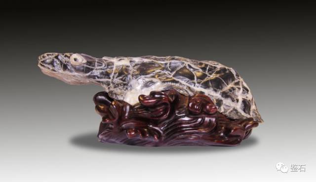 小鳄鱼  题名:小鳄鱼 规格:27x10x7(cm) 石种:灵璧石     :许新城