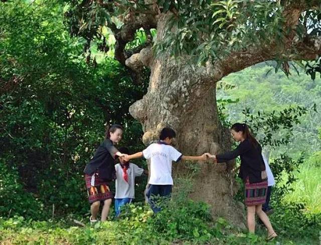 远嫁姑娘泪流满面黎歌《娘不让嫁汉 》 刘洪余