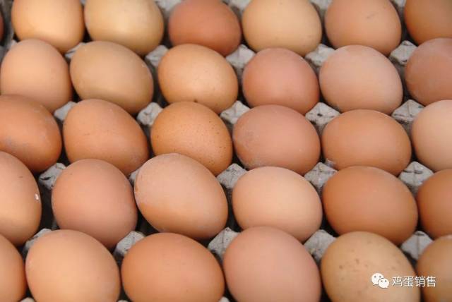 2018年养鸡有补贴,还附补贴申请书,这是真的吗