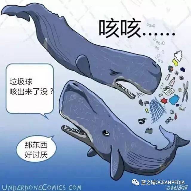 如果动物会说话,面对海洋垃圾会是怎样?_手机搜狐网